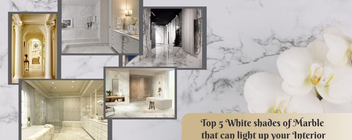 Top 5 White shades of Marble that can light up your Interior